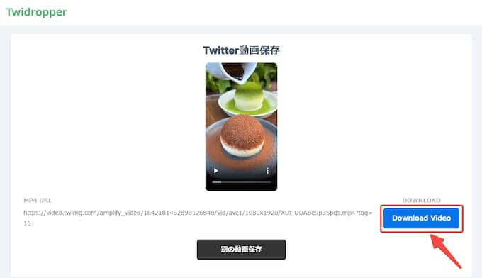 Twitter 動画をプレビューする